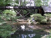 photos 2000-200901802